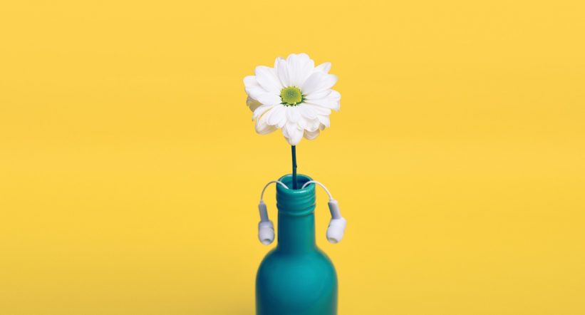 White flower has headphones coming out of vase